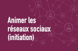 Développer et animer les réseaux sociaux (initiation)