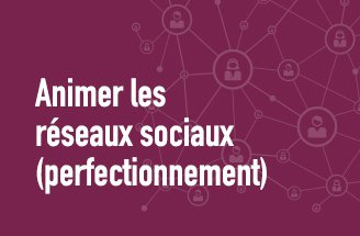 Développer et animer les réseaux sociaux (perfectionnement)